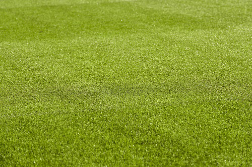 Grass with a link to the webpage roots under Professional turf